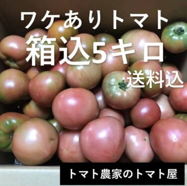 規格外トマトをフリマアプリで販売中。